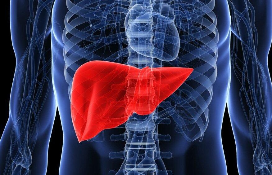 {{brizy_dc_image_alt entityId=